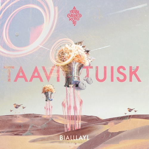 Taavi Tuisk - Bialllayl [ATCK031]